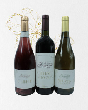 Kit de Vinos Vinícola Sarmiento