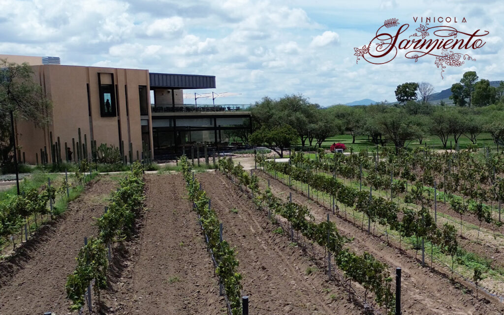 Vinícolas en Aguascalientes | Vendimias, catas y el nuevo destino del vino mexicano