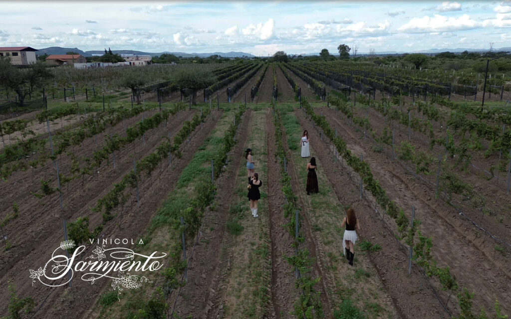 Rutas del vino en Aguascalientes